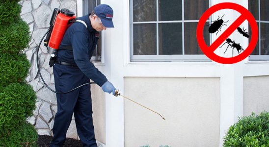 Dereli Gümüşkurt İlaçlama böcek ilaçlama ve haşere kontrolü — ilaclama-tr.com